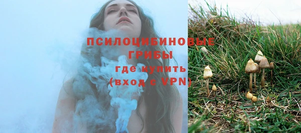 гашишное масло Богородицк